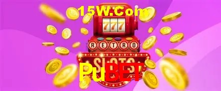 Pubet - Security