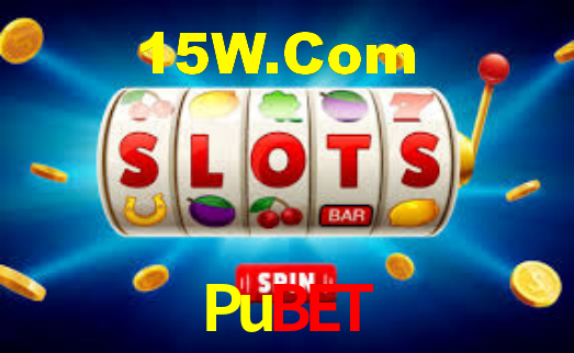 Pubet - Installation Guide