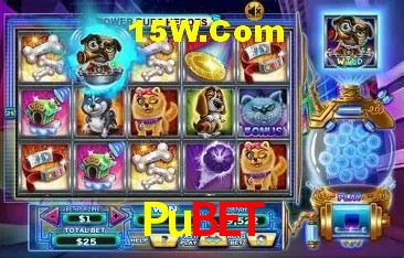Segurança e performance na plataforma Pubet