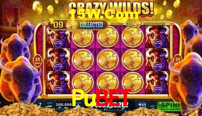 A Emoção da Loteria na Pubet: Uma Chance de Mudança de Vida