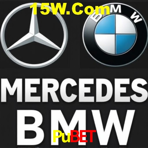 Security Systems Pubet