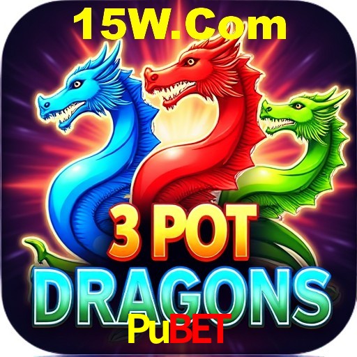 PIX Instantâneo Pubet