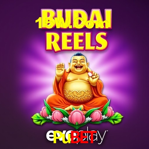 Sistemas de Segurança Pubet